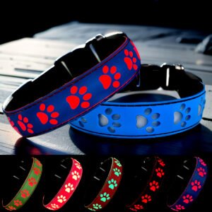 LIGHT UP Dog collar , USB-C RECHARGING ,15 MODES LIGHTING