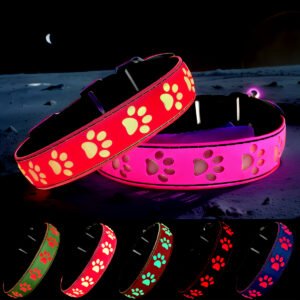 LIGHT UP Dog collar , USB-C RECHARGING ,15 MODES LIGHTING  PINK