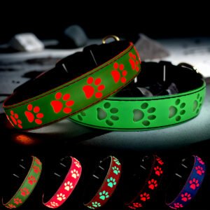 LIGHT UP Dog collar , USB-C RECHARGING ,15 MODES LIGHTING GREEN
