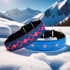 LIGHT UP GLOW Dog collar , USB-C RECHARGING ,15 MODES LIGHTING BLUE