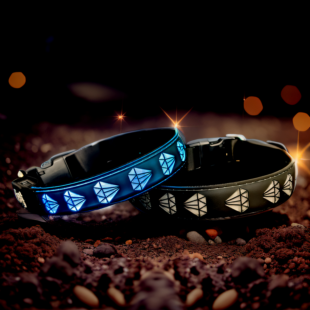 lighted dog collar rechargeable led color USB-C RECHARGING ,15 MODES LIGHTING BLACK