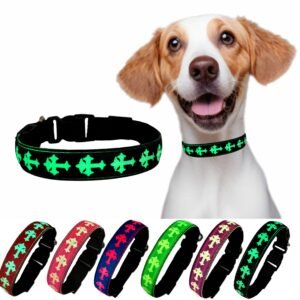 Glow in the dark dog collar , USB-C RECHARGING ,15 MODES LIGHTING BLACK