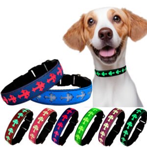 Glow in the dark dog collar , USB-C RECHARGING ,15 MODES LIGHTING BLUE