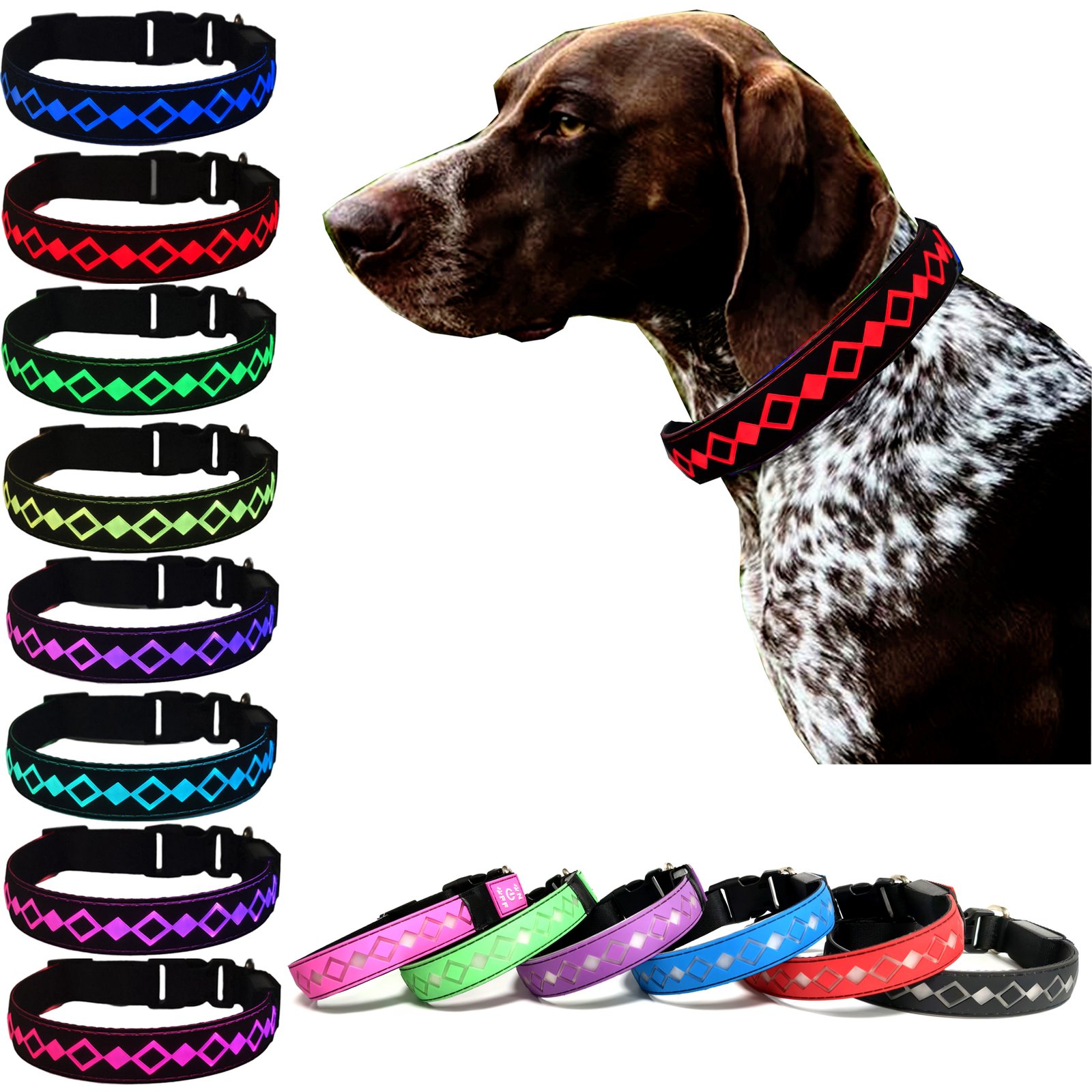 LIGHT UP GLOW Dog collar , USB-C RECHARGING ,15 MODES LIGHTING BLACK - Image 2